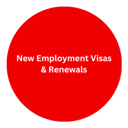 New employment Visas & Renewals (4)