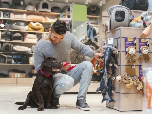 Pet shop business setup and opportunities in Dubai