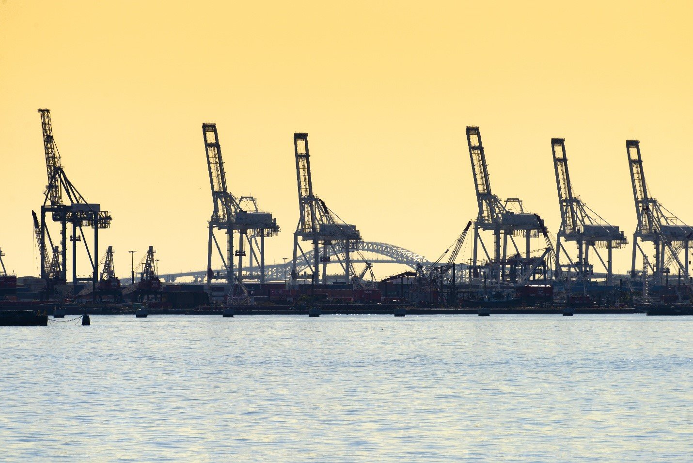 Reasons to Form an Offshore Company in the UAE in 2026