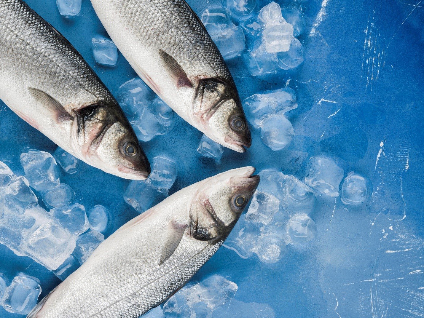 How to Get a Food Trading License in Dubai Mainland: Fish, Meat, Egg & Poultry Setup Guide 2026