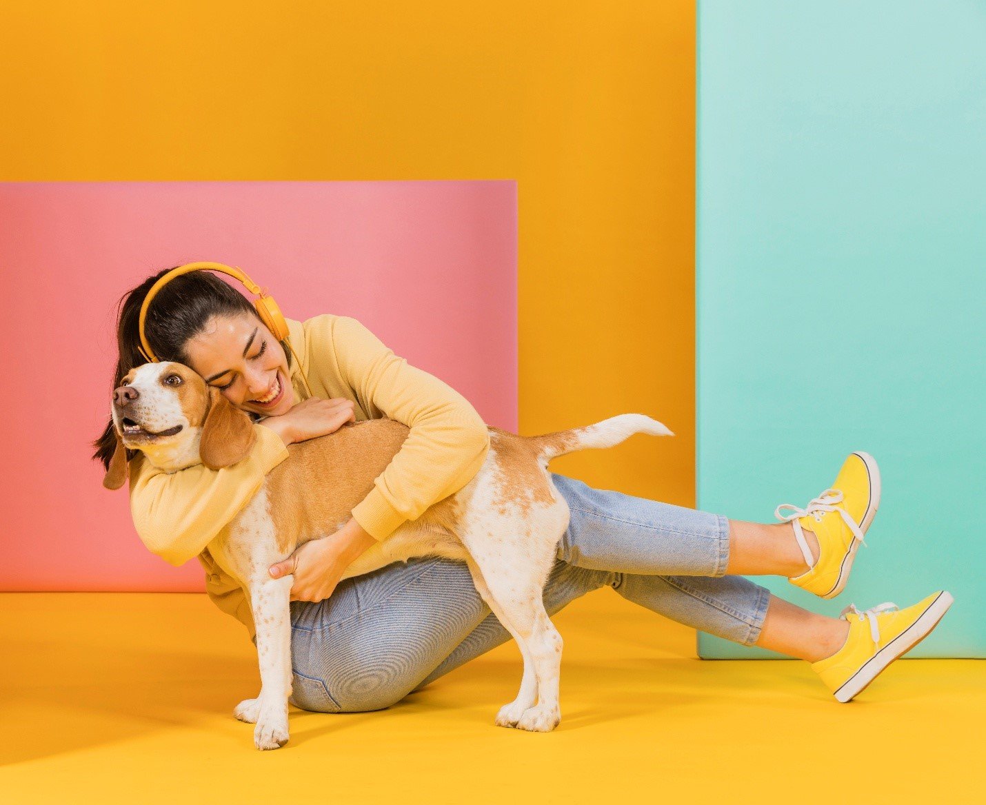 How to Start a Dubai Mainland Pet Services Company